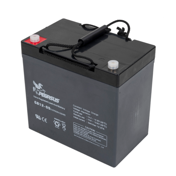 Truvox 12v Battery